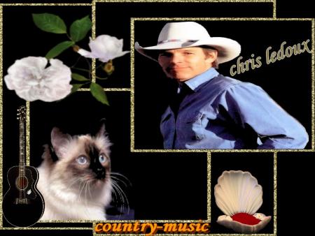 MONTAGE DE COUNTRY-MUSIC 