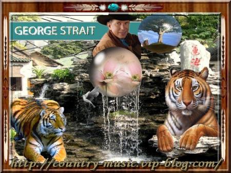 COUNTRY-MUSIC MONTAGE PERSO